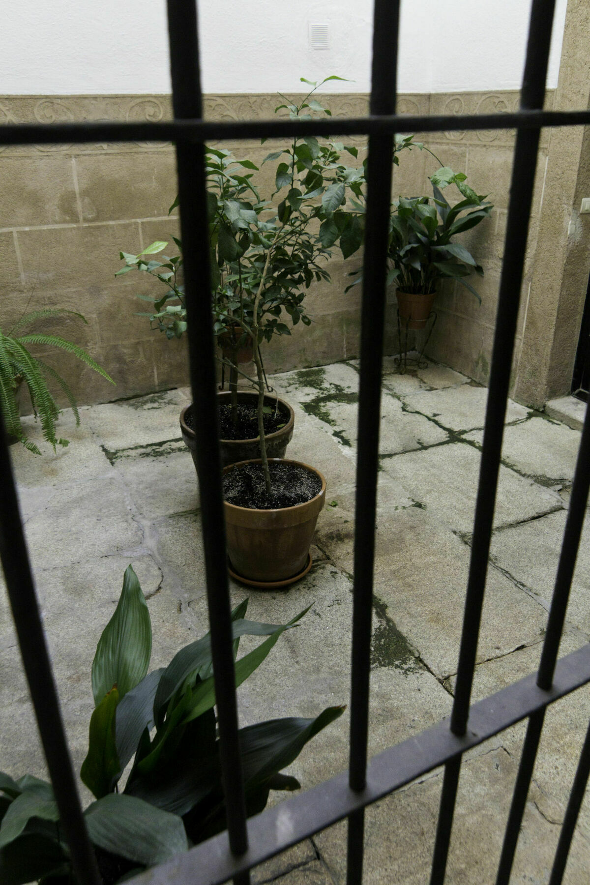 Casa Conde De Santa Olalla Caces 외부 사진